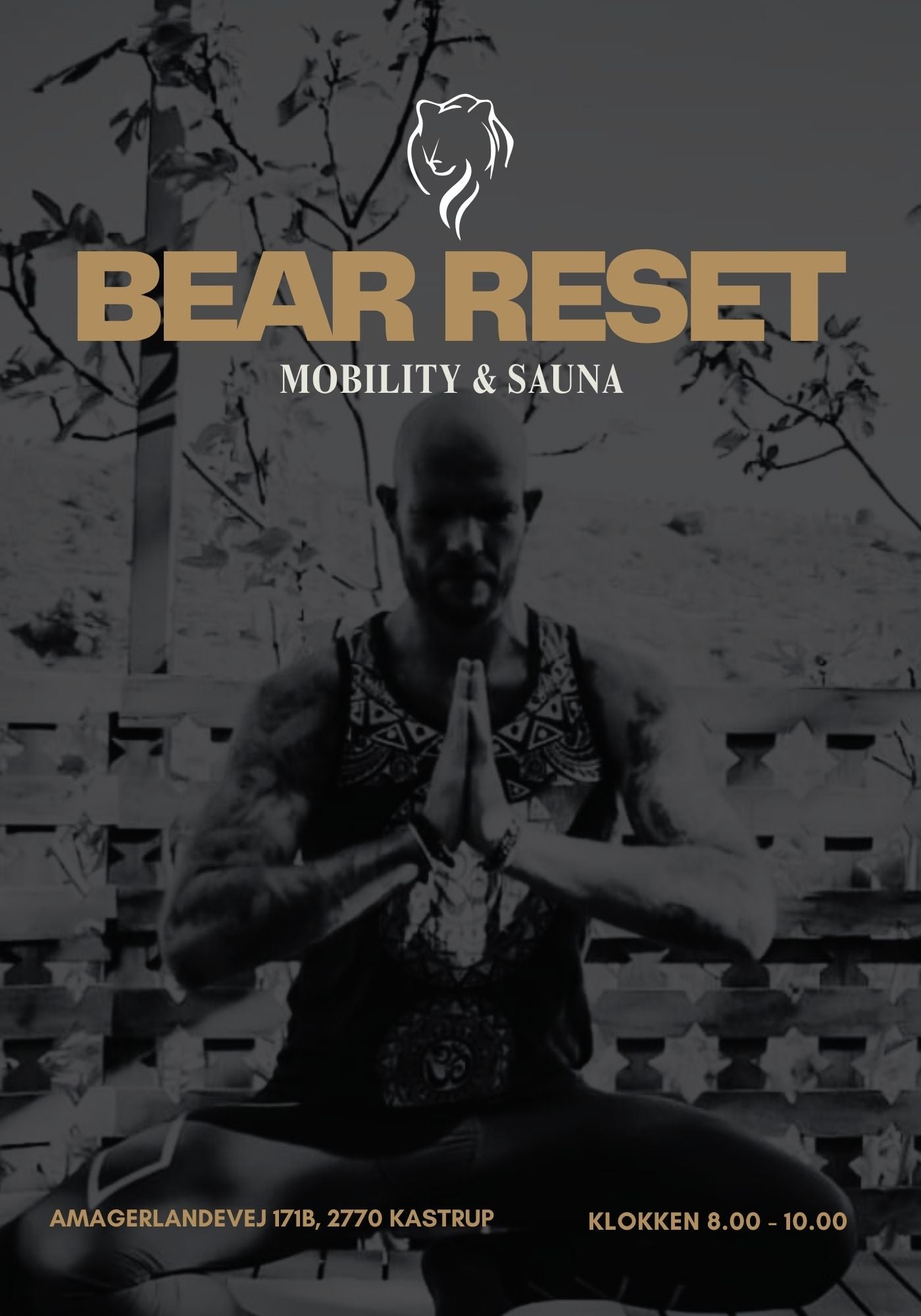 BEAR RESET INKL. SAUNAGUS