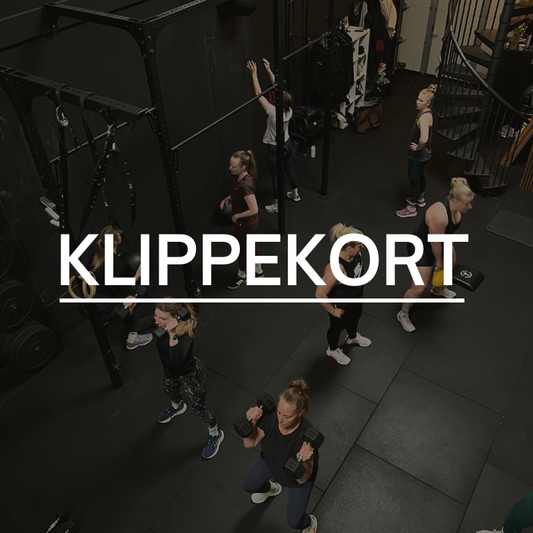 BEAR KLIPPEKORT