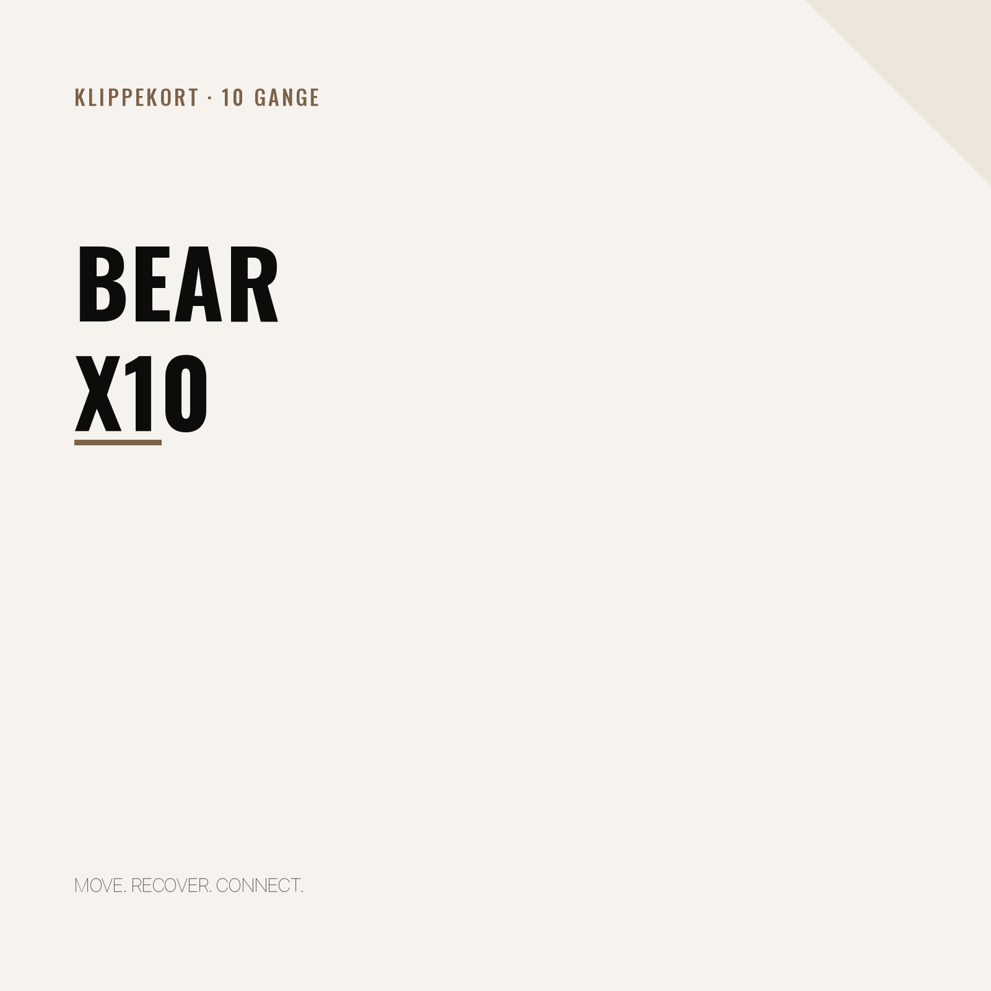 BEAR x 10